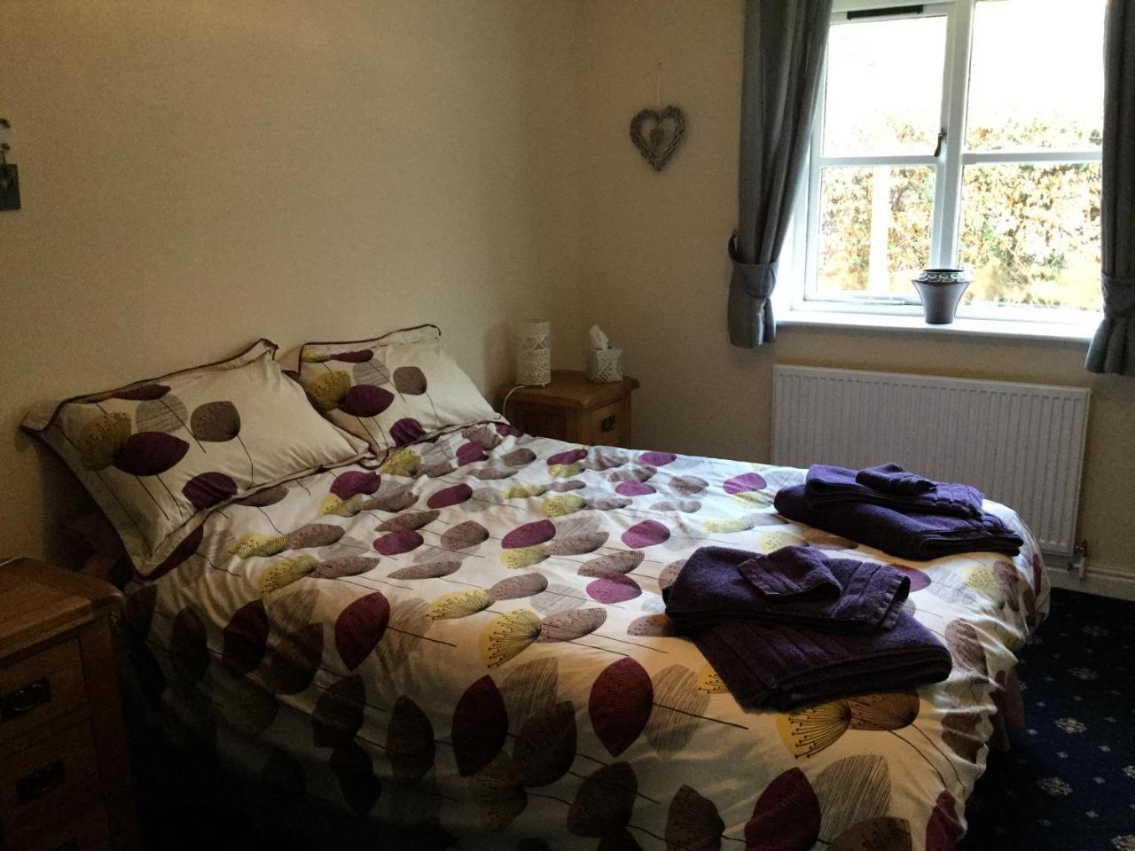 Trem Hyfryd B&B ดอลเกซเซย์ ภายนอก รูปภาพ